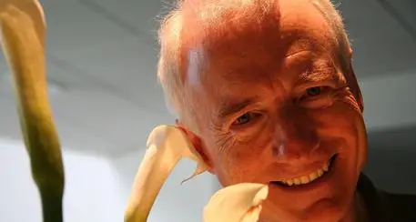 Morto Tesler, l’informatico padre del “copia e incolla”