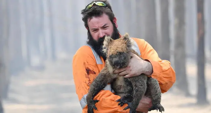Australia: arrestati 180 piromani fermati anche 40 minorenni devastati 7 milioni di ettari