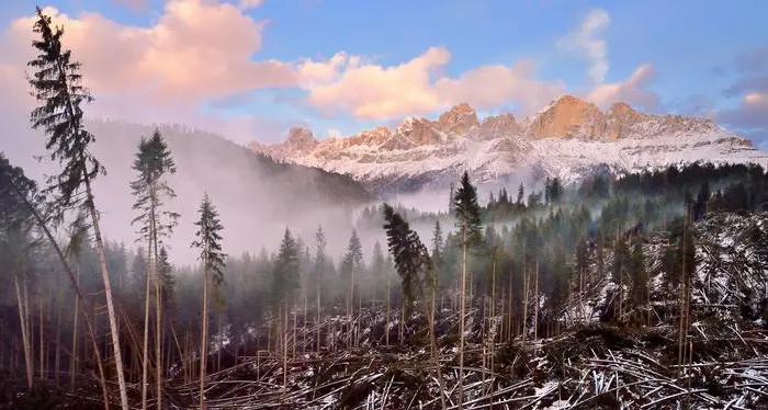 Il fotografo Albert Ceolan vince il premio londinese con questa foto di Vaia