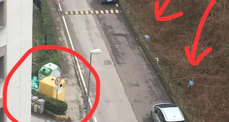 La denuncia: «Sacco di rifiuti gettato nel boschetto»
