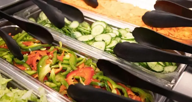 Londra, sentenza del tribunale «Veganesimo è come religione No alle discriminazioni»