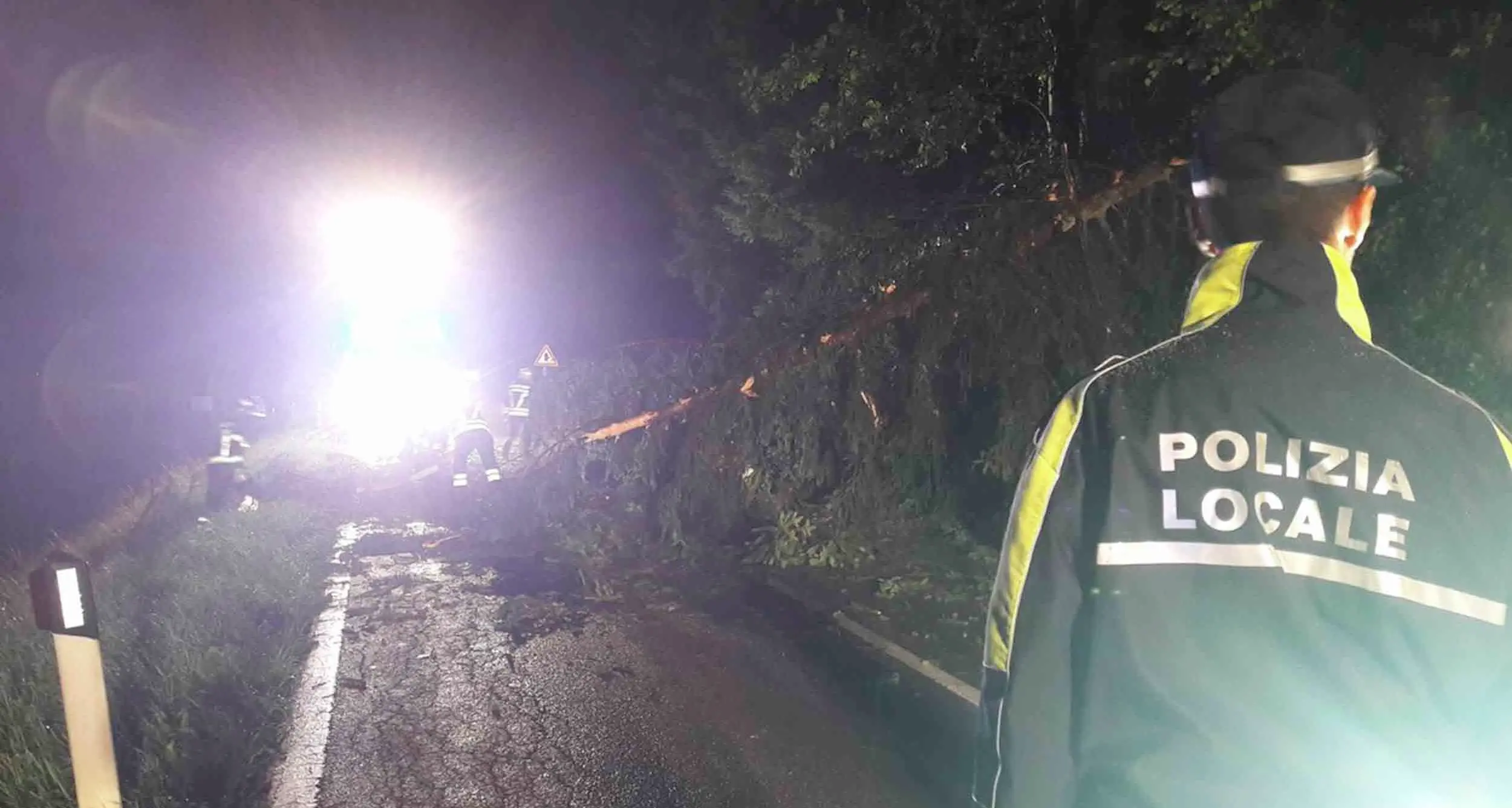 Levico: svincolo chiuso dai pompieri per caduta alberi ai camping, la bonifica è in corso