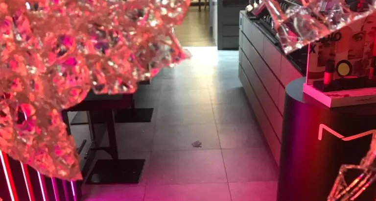 Raptus di follia: una donna spacca la vetrina a sassate in via Oss Mazzurana - IL VIDEO