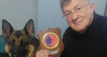È morta Laga, il cane-eroe del terremoto di Amatrice