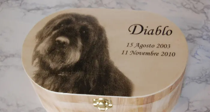 In Liguria sarà possibile seppellire gli animali con i padroni