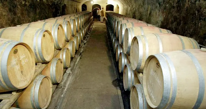 Buste paga più pesanti per i dipendenti delle cantine Una tantum di 930 euro