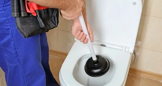 Water intasati in Provincia lettera ai dipendenti: «Non gettate le scorze d'arancia nella tazza»