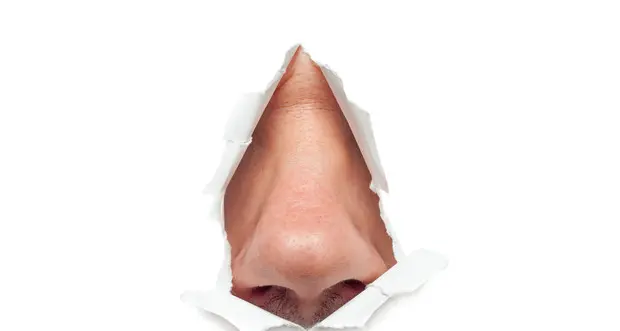 Senza l'olfatto ogni minuto della vita ne sarebbe sconvolto