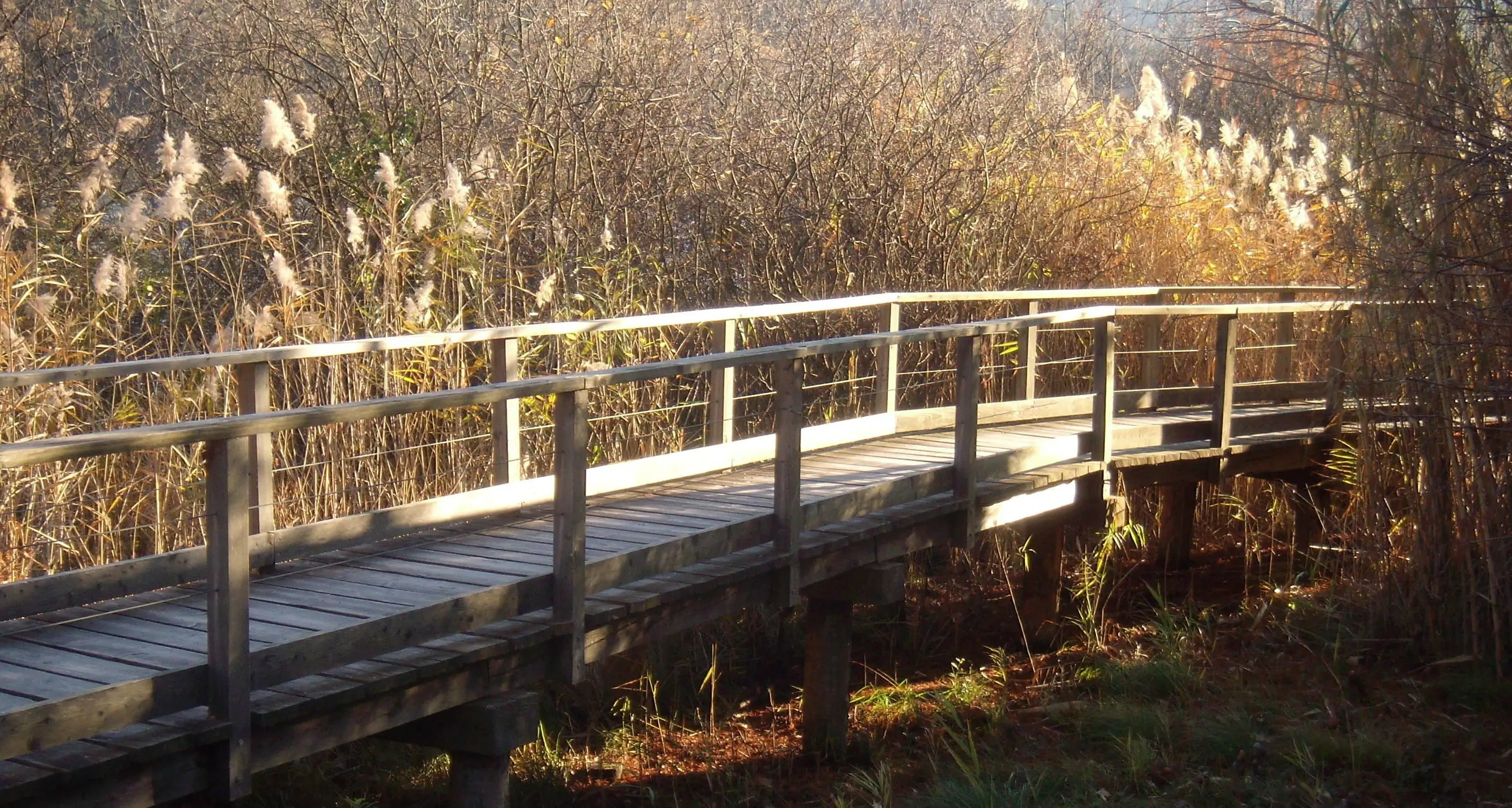 Passeggiata di Toblino: si rifà la passerella del sentiero lungolago