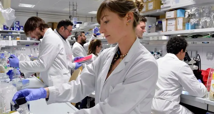 Mini-cervelli in provetta al Cibio per studiare i tumori dei bambini