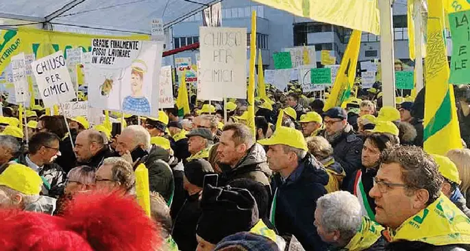 Contadini in campo: più soldi contro la cimice asiatica