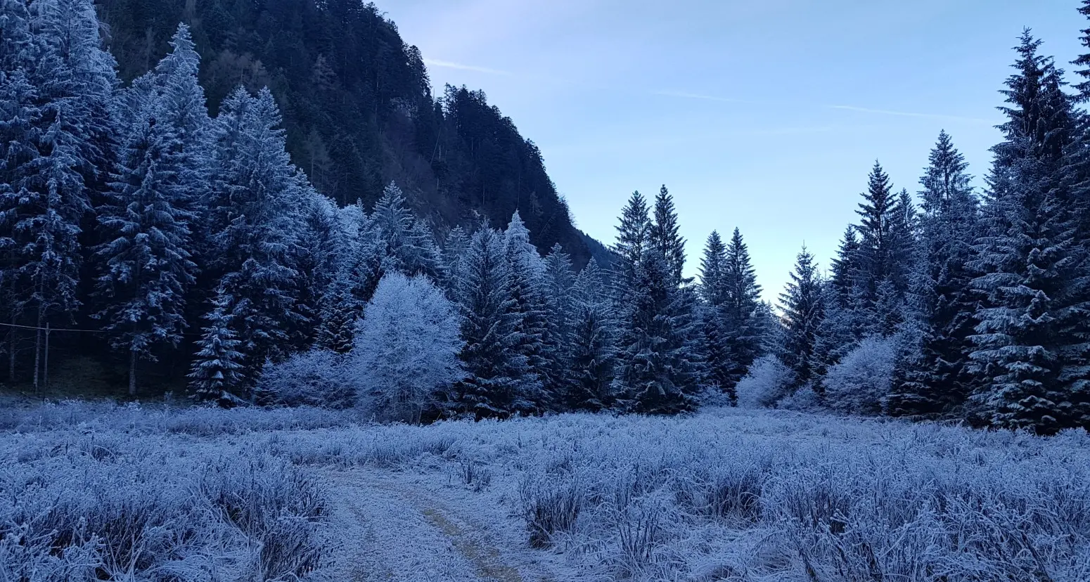 La cascatella di Castel Tesino come il regno di Frozen (ma non fa tanto freddo)