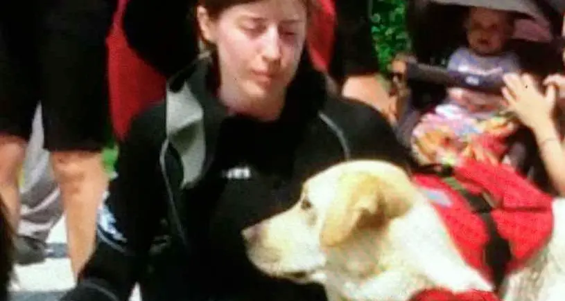 Meano: investita sulle strisce insieme al suo cane da salvataggio: ferita ragazza di 21 anni