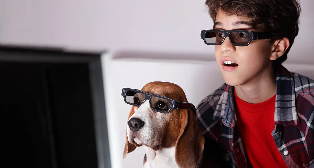 Mia, Kira e Oliver i nomi più amati: Fido ormai superato