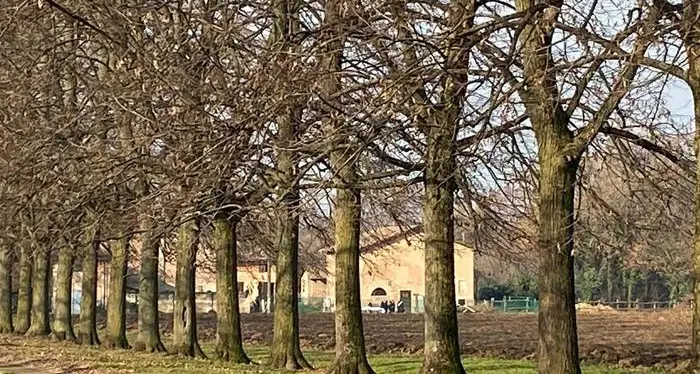 Il custode di un casale spara cinque colpi e uccide un ladro di attrezzi