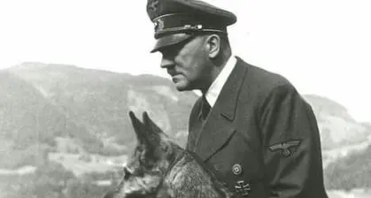 Inneggia a Hitler su Twitter Siena, bufera su prof dell'ateneo