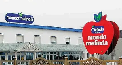 Il biologico di Melinda? Gerevini: «Una nicchia, non sarà mai il 50%» ma il Comitato Salute: «Basta volere»