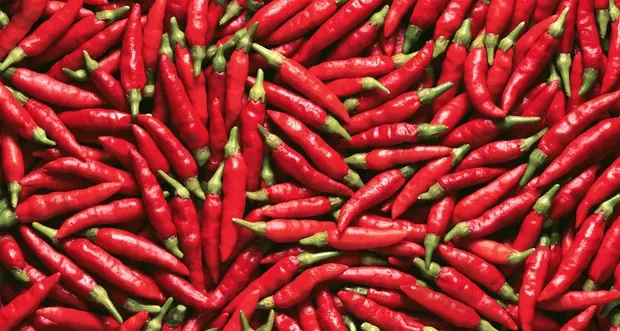 Il peperonicino nella dieta (4 o 5 volte in settimana) può dimezzare il rischio infarto