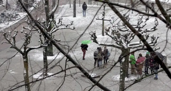 Oggi il solstizio d'inverno: è il giorno più corto dell'anno e da domani si guarda a primavera