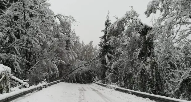 Forte nevicata, auto bloccate odissea sui passi dolomitici valanghe in Marmolada e Valparola
