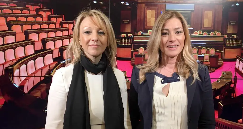 Redditi dei parlamentari regionali: svetta la Svp, i leghisti in coda La senatrice Testor prima fra i trentini