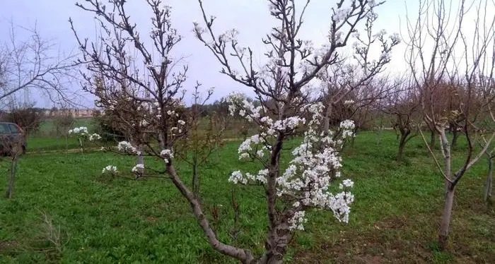 E' stato un Natale \"bollente\" con temperature anomale A Torino addirittura 18 gradi