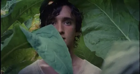 Lazzaro Felice è terzo film dell'anno per Guardian