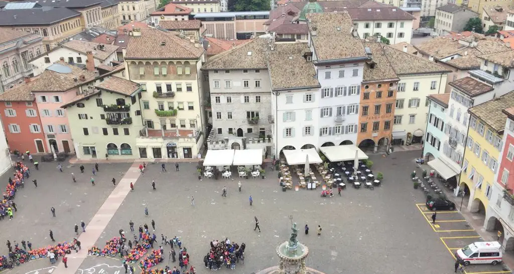 Cagnolino schiacciato dall'auto in piazza Duomo a Trento: niente da fare per l'animale