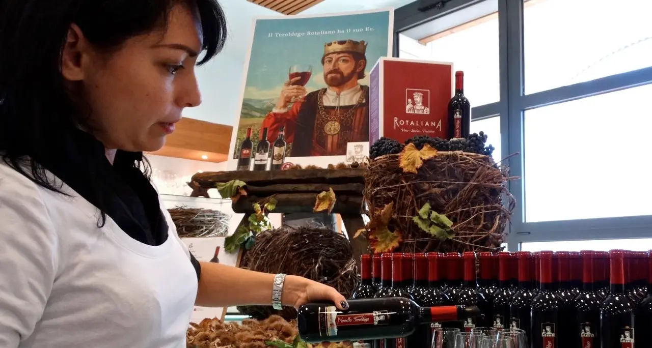 Benvenuto al vino novello in Trentino lo fanno 8 cantine: ecco i segreti e la qualità 2019