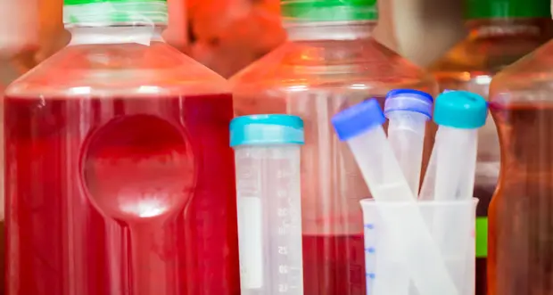 Test casalingo per la prevenzione del tumore al collo dell'utero
