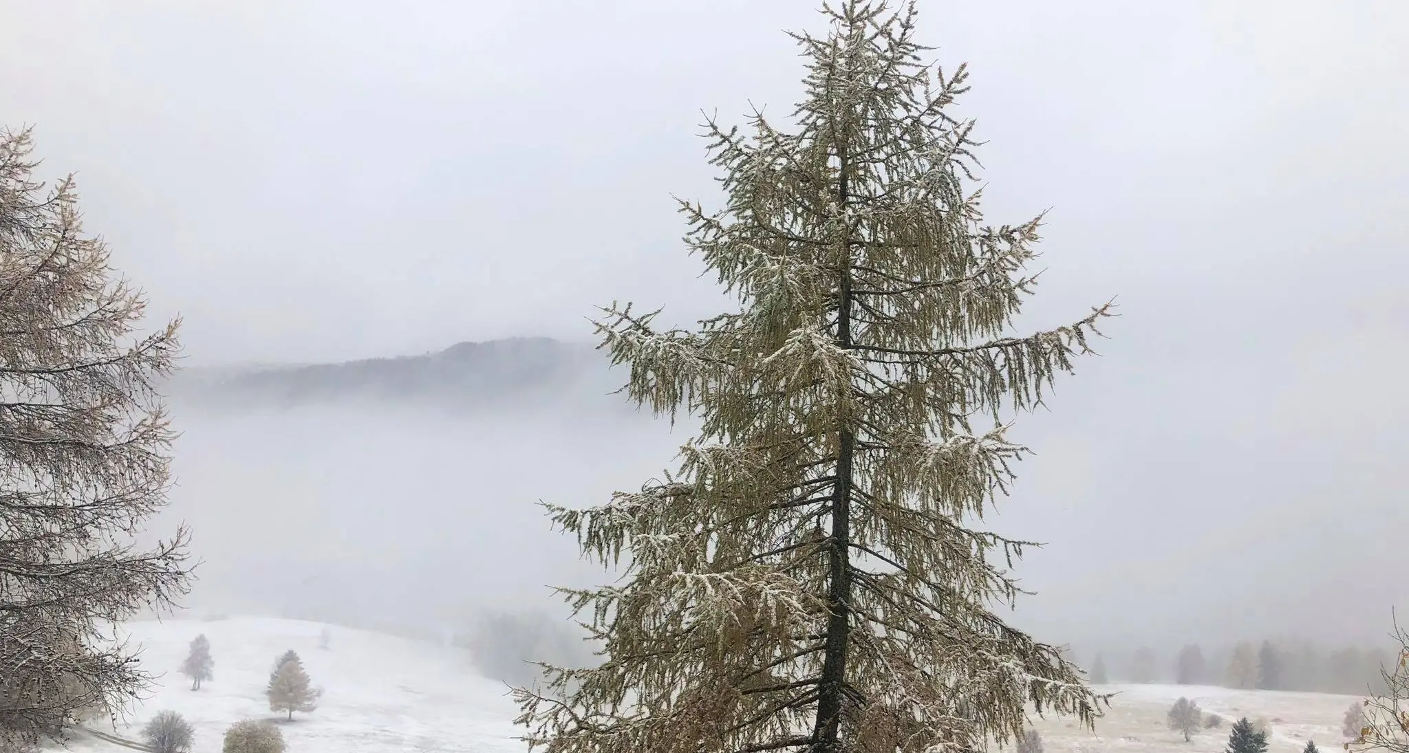 Monte Bondone imbiancato ecco il VIDEO IN DIRETTA della prima neve a Vason
