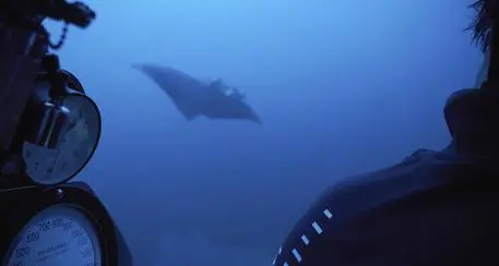 Costa Rica: dodicenne genovese punto da una manta, paralizzato: volo di Stato per ricoverarlo
