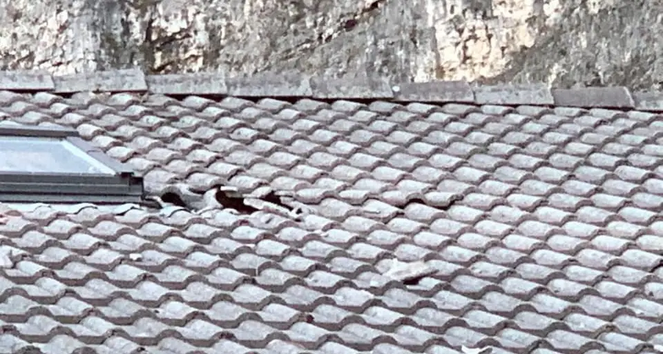 Sassi dal Monte di Mezzocorona bucano il tetto a due case: due famiglie evacuate