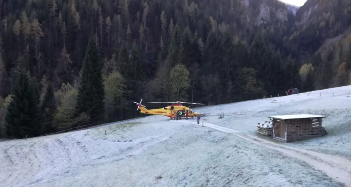 Boscaiolo travolto da un tronco nel bosco di Ronco Cainari soccorso con le gambe schiacciate