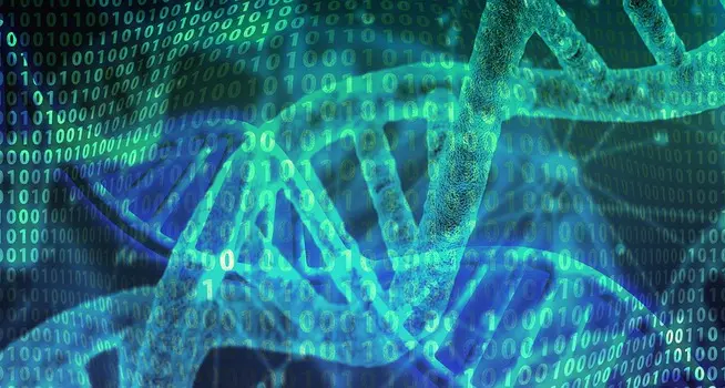 Cinque secoli di infedeltà scritti nel Dna