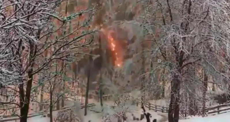 Il cavo dell'alta tensione si rompe e incendia il bosco: guarda lo spaventoso VIDEO