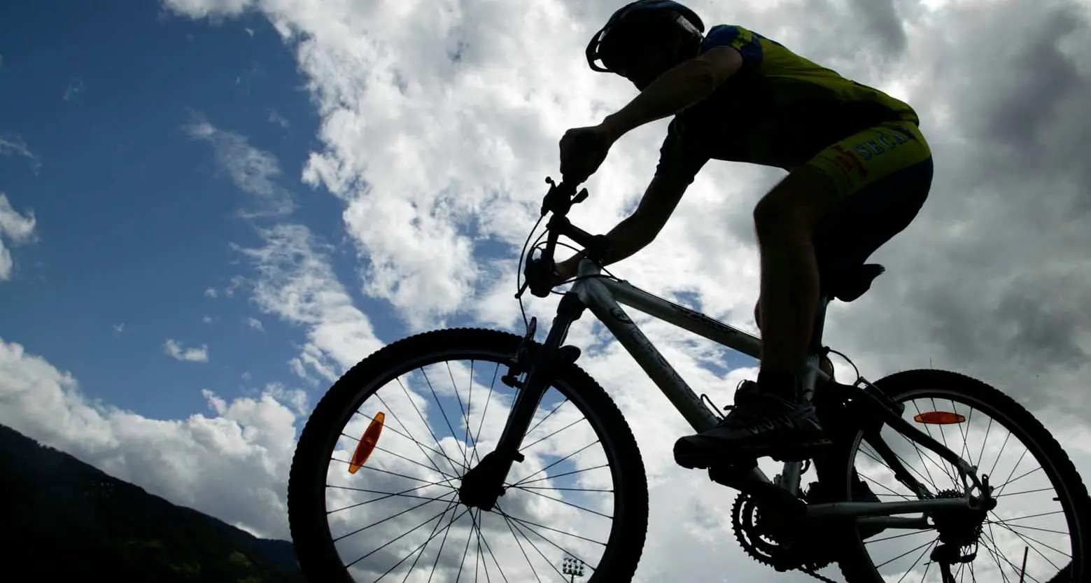 Una bike-area sul Lagorai Progetto con nove piste