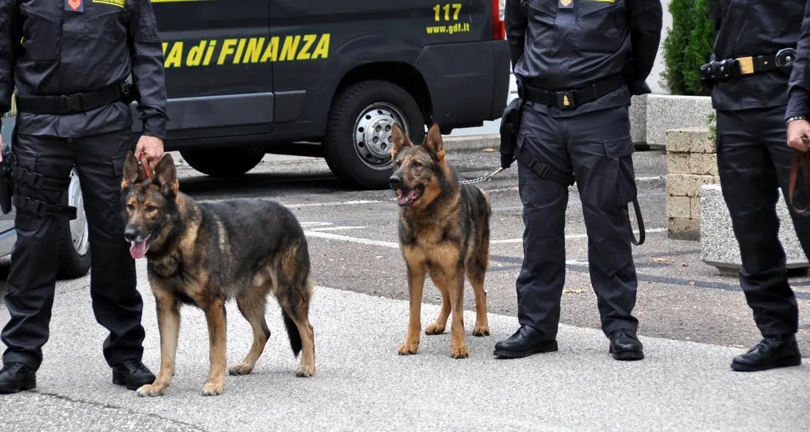 L'allarme delle Fiamme Gialle: in Trentino un mare di droga e consumatori più «bambini»