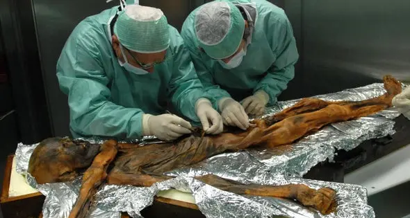 Ötzi ed i muschi che aveva addosso ci raccontano il clima di allora e dicono che venne dalla Val Senales