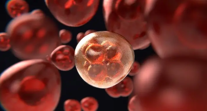 Nuova analisi del sangue individua 29 tumori ed anche la tipologia