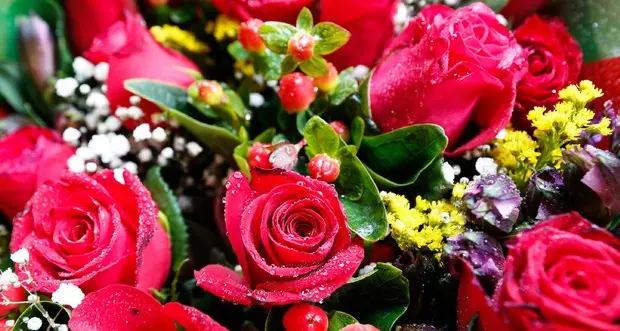 Fiori e piante, tracciato l'identikit dell'acquirente