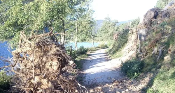 Serraia, ceppaia rotola sul lago Il sentiero è ancora chiuso