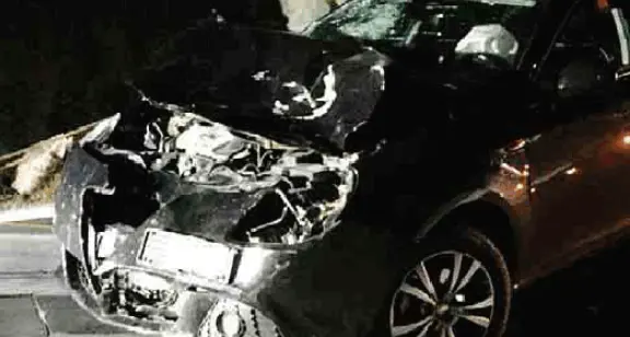 Scontro violento con un cervo Valsugana, auto distrutta