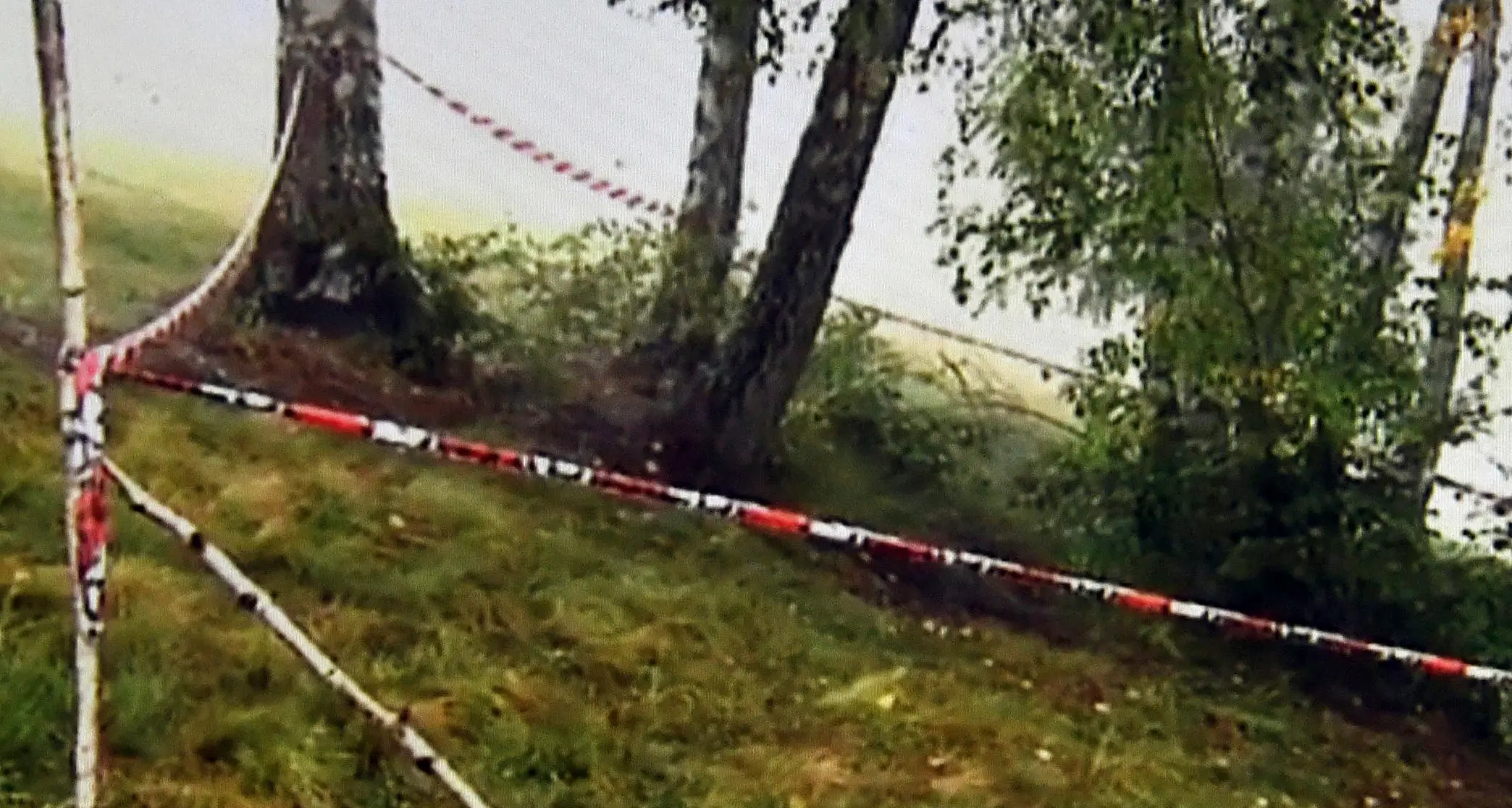 Cacciatore ucciso dall'amico: fu un incidente non un delitto ma la famiglia chiede 1 milione