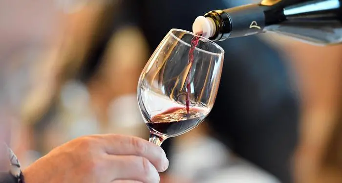Abbinare musica e vino: ecco la nuova app che sceglie i brani giusti