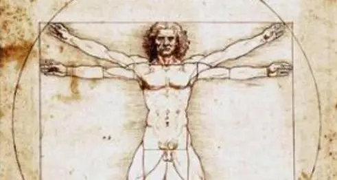 Il Tar sospende il prestito dell'Uomo Vitruviano di Leonardo al Louvre