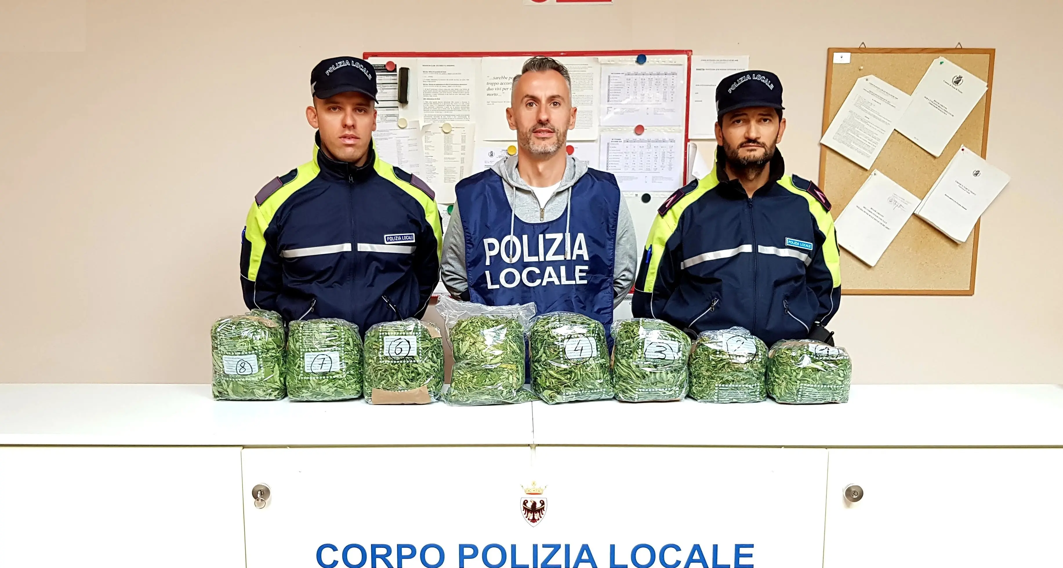 Il turista della marijuana: nei weekend veniva in Trentino per curare le sue piantine