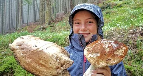 Tante brise e molto grandi: guardate che tesoro ha trovato il nostro amico