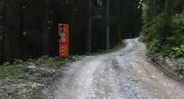 Autovelox nel bosco per i camion di legname