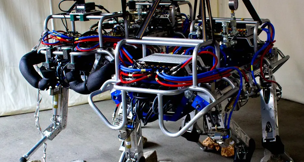 All'Università di Trento arriva il mulo robot meccanico: quattro zampe e tanta forza - VIDEO